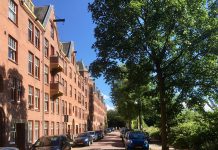 Bomen gekapt voor bredere Zaanstraat