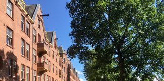 Bomen gekapt voor bredere Zaanstraat