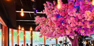 Kreeft bij Kaap West aan de Sloterplas