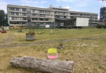 Noodsteun gemeente aan broedplaatsen