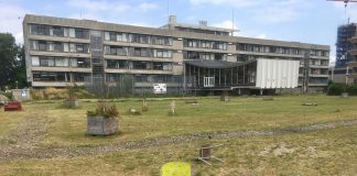 Noodsteun gemeente aan broedplaatsen