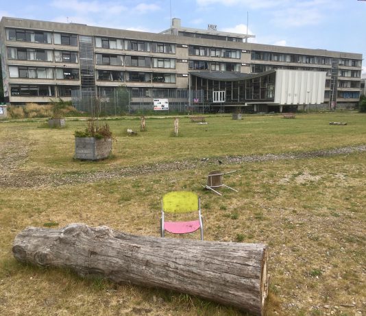 Noodsteun gemeente aan broedplaatsen