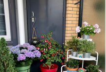 Woongroep 55-plus Non Solus zoekt nieuwe bewoner(s)