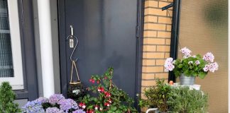 Woongroep 55-plus Non Solus zoekt nieuwe bewoner(s)