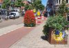 Bloembakken geven ‘fietsstraat’ J.P. Heije iets vriendelijker uiterlijk