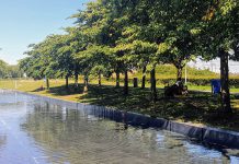 Weer spartelen in vijver Westerpark