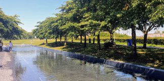 Weer spartelen in vijver Westerpark