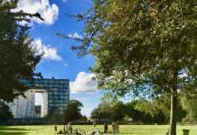 Meer groen en biodiversiteit in Eendrachtspark