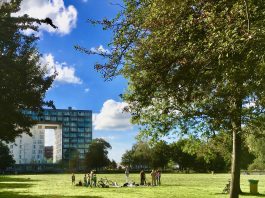 Meer groen en biodiversiteit in Eendrachtspark