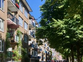 Plan voor groene looproute door Bos en Lommer