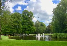 Botulisme in eendenvijver Westerpark