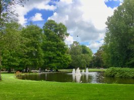 Botulisme in eendenvijver Westerpark
