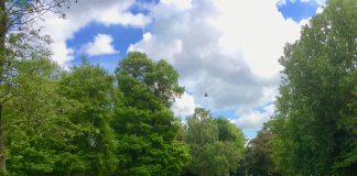 Botulisme in eendenvijver Westerpark