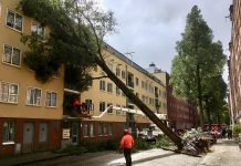 Bomen in West omgewaaid door storm