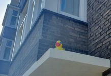 Grappig: buurtbewoners Kijkduinstraat verzamelen badeenden