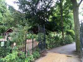 Parken ’s nachts toch niet dicht