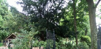 Parken ’s nachts toch niet dicht