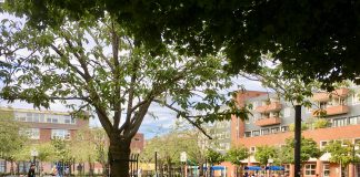 West wil cameratoezicht Balboaplein na incidenten