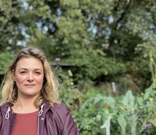 Kolenkit – Column Carolien de Heer, dagelijks bestuurder stadsdeel West