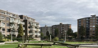 Honden mogen niet meer op Kop van Jut