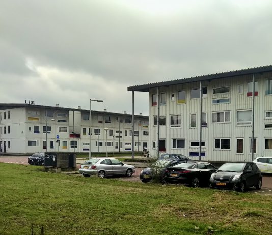 Containerwoningen Riekerhaven kunnen nog tot 2029 blijven