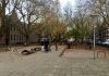 Pitbull in beslag genomen die hond verwondde op Van Oldenbarneveldtplein