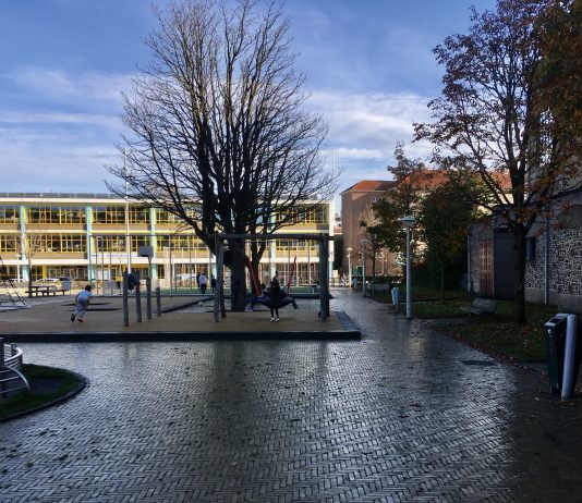 Deze zeven plekken in West kunnen een stuk groener