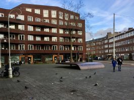 Initiatief voor groen Witte de Withplein