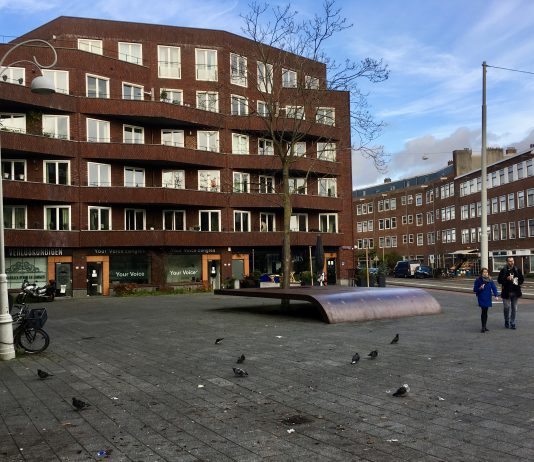 ‘Vaart maken met vergroenen Witte de Withplein’