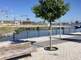 Ligplek watervilla in Houthaven kost ruim half miljoen