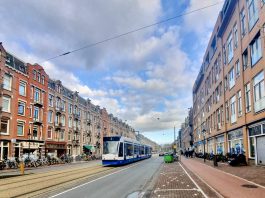 Eindelijk weer bomen voor Frederik Hendrikstraat