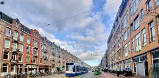 Eindelijk weer bomen voor Frederik Hendrikstraat
