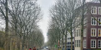 Eindelijk lekker fietsen, wandelen en hardlopen over het Brettenpad