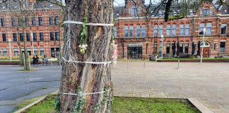 Westerpark neemt afscheid van kastanjeboom