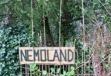 Nemo in Westerpark is nu echt gered