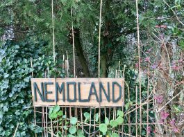 Ontruiming dreigt voor Nemoland in Westerpark