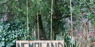 Nemo in Westerpark is nu echt gered