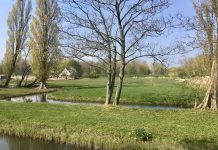 Gemeenteraad wil dat polder bij St. Barbara geen park wordt