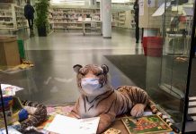 Forse daling coronacijfers in West