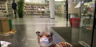 Forse daling coronacijfers in West