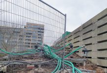 Hiermee wil de gemeente de Japanse Duizendknoop bestrijden