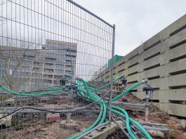 Hiermee wil de gemeente de Japanse Duizendknoop bestrijden