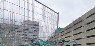 Hiermee wil de gemeente de Japanse Duizendknoop bestrijden