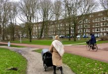 Miljoenen voor opknapbeurt Rembrandtpark en kleinere parken