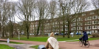 Miljoenen voor opknapbeurt Rembrandtpark en kleinere parken