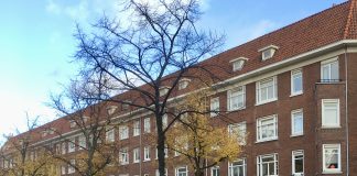 ‘Bomen Bos en Lommerweg niet kappen’