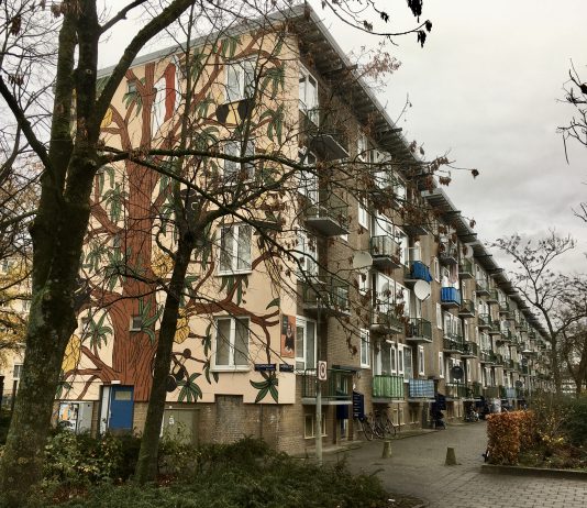 Kolenkitbuurt is opgeknapt, maar de zorgen blijven groot