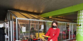 Cascoland deelt gratis groente en fruit uit in de Kolenkit