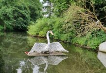 Nieuw wandelrondje voor een gezonde geest