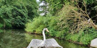 Nieuw wandelrondje voor een gezonde geest